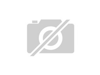 Chessy sucht ein neues Zuhause